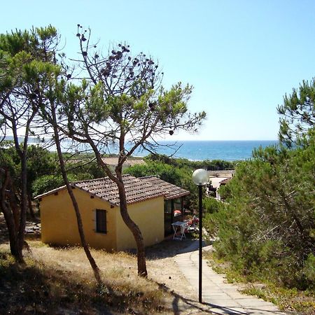 Camping Golfo Dell'Asinara Platamona Dış mekan fotoğraf