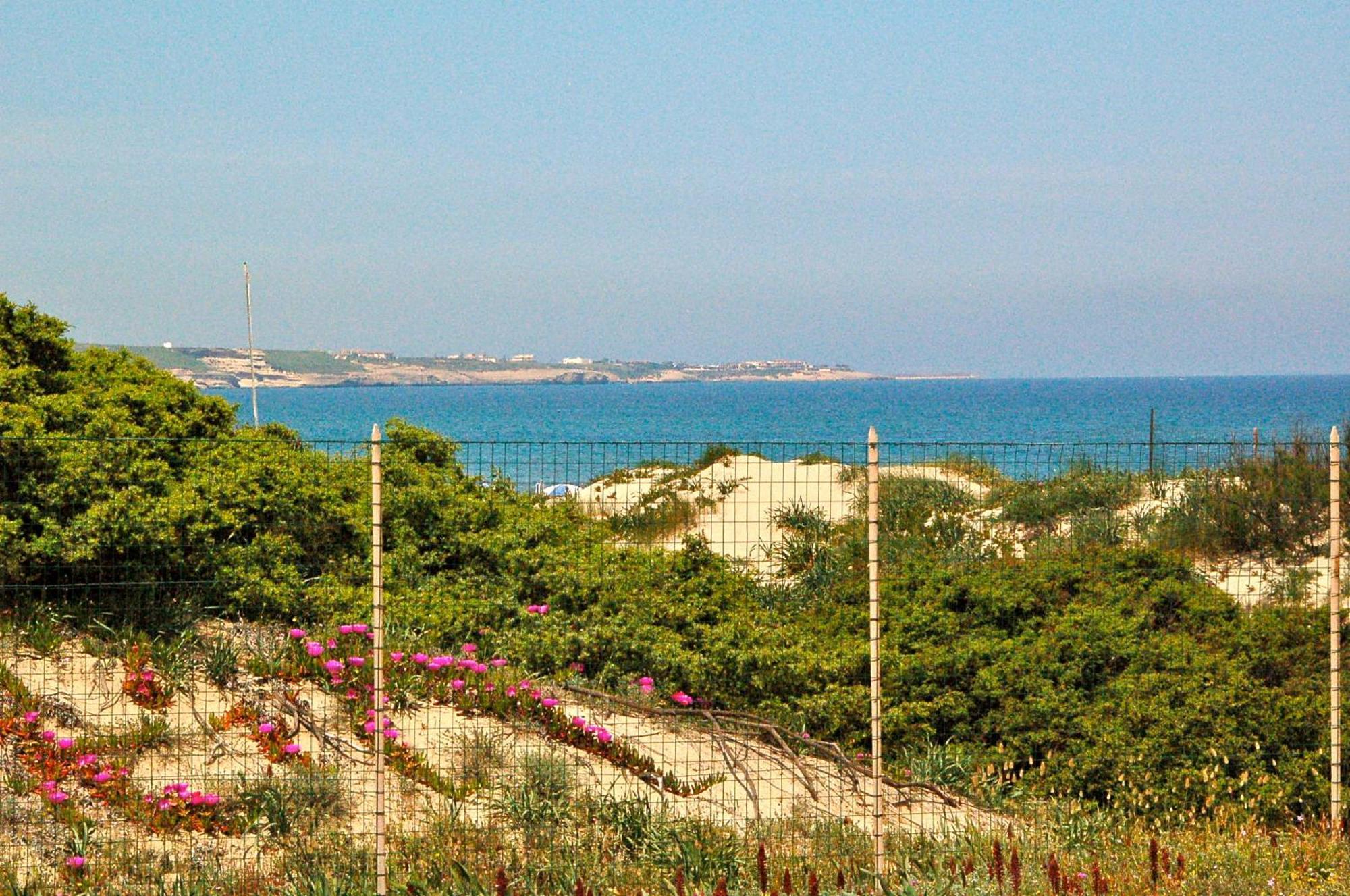 Camping Golfo Dell'Asinara Platamona Dış mekan fotoğraf