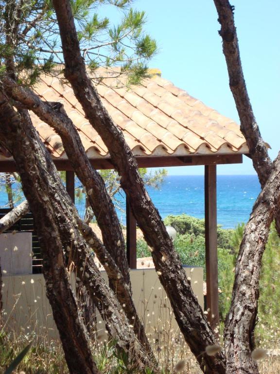 Camping Golfo Dell'Asinara Platamona Oda fotoğraf