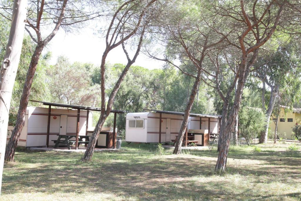 Camping Golfo Dell'Asinara Platamona Oda fotoğraf