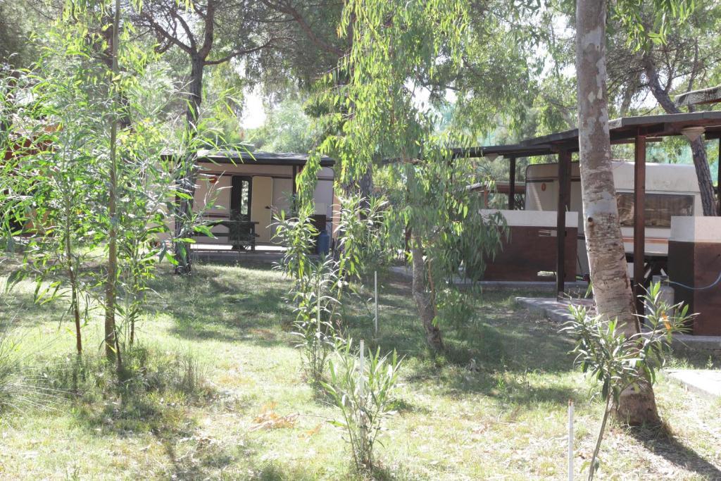 Camping Golfo Dell'Asinara Platamona Oda fotoğraf
