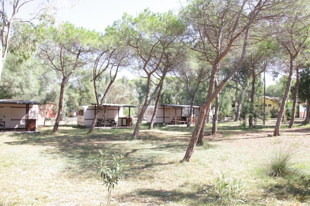 Camping Golfo Dell'Asinara Platamona Oda fotoğraf